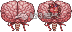 泰拉瑞亚terraria克苏鲁之脑召唤方法及打法 泰拉瑞亚terraria克苏鲁之脑召唤方法及打法