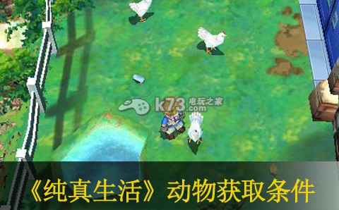 纯真生活新牧场物语动物获取条件汇总 纯真生活新牧场物语动物获取条件汇总