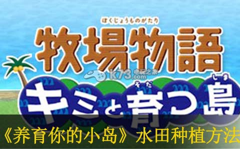 牧场物语养育你的小岛水田种植方法 牧场物语养育你的小岛水田种植方法