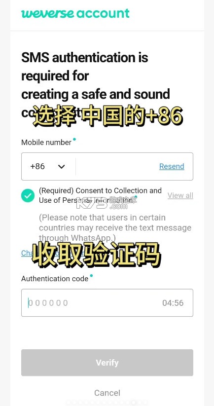wvs v2.20.0 最新版安卓下载(Weverse) wvs v2.20.0 最新版安卓下载(Weverse)