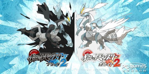 口袋妖怪黑白2全道具获取方法