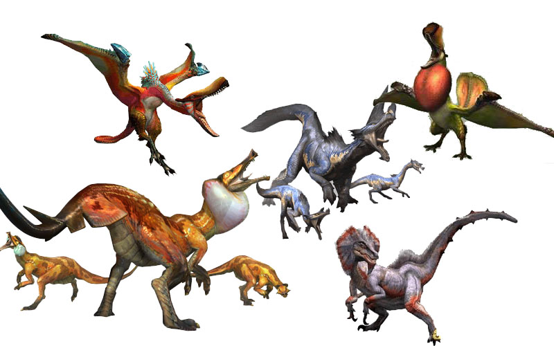 怪物猎人P3鸟龙种怪物资料合集及打法